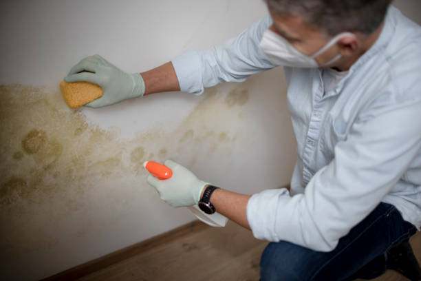 Best Bathroom Mold Remediation in Lake Telemark, NJ